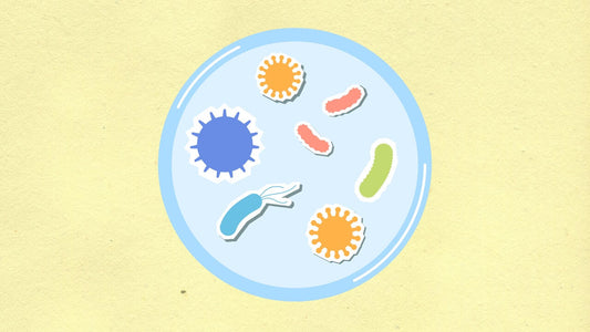 Microbe Monday: Porphyromonas gingivalis